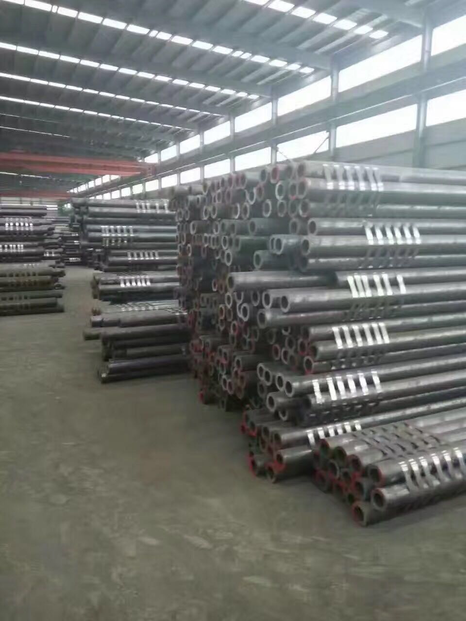 ڏop䓹⏽530ȏ510״l